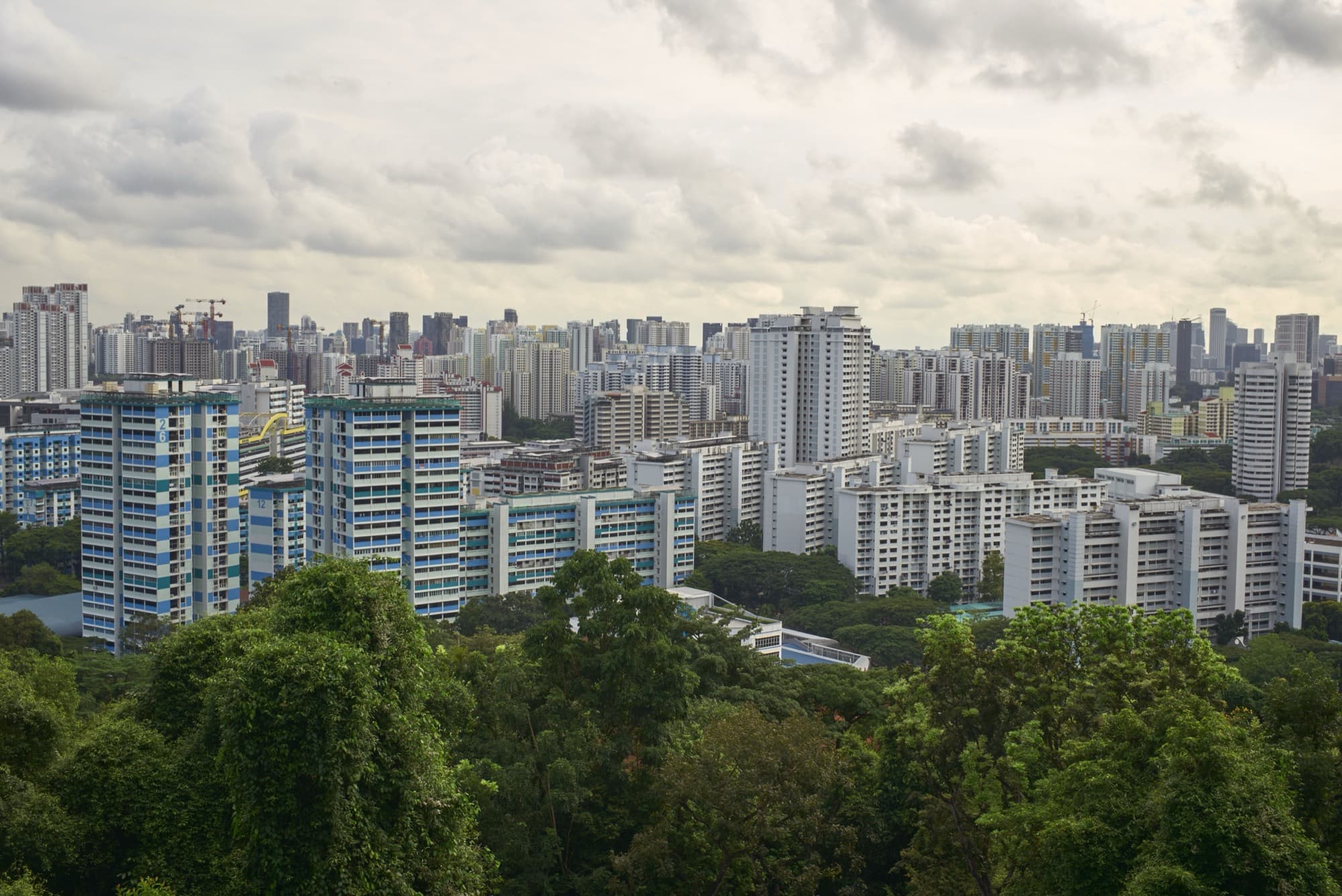 Aerial view of a green Singapore HDB estate with mature trees